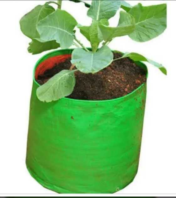 image-gall